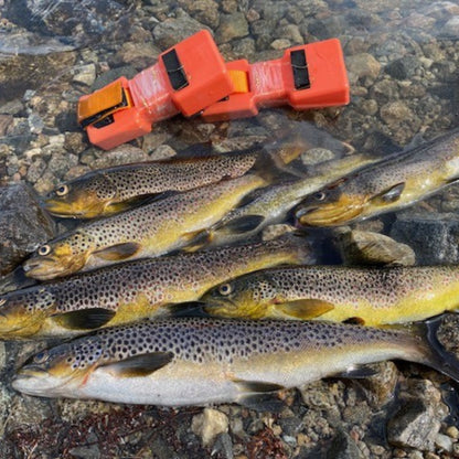 Autosett Small -  Perfekt zum Forellenangeln - Bekannt von Tiktok