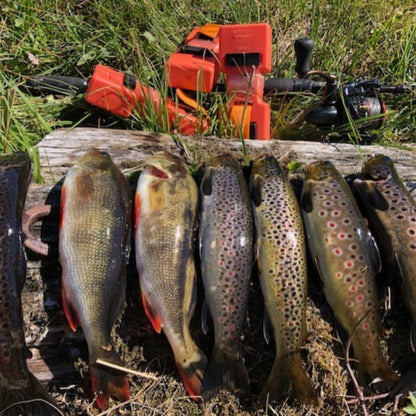 Autosett Small -  Perfekt zum Forellenangeln - Bekannt von Tiktok